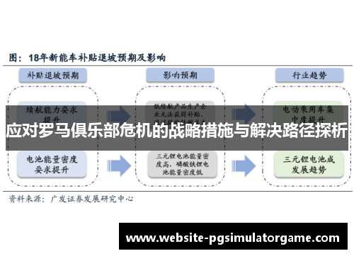 应对罗马俱乐部危机的战略措施与解决路径探析