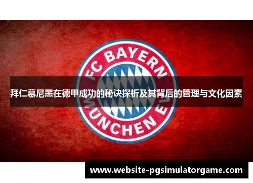 拜仁慕尼黑在德甲成功的秘诀探析及其背后的管理与文化因素