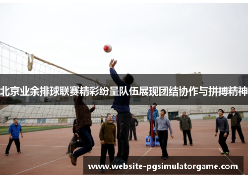 北京业余排球联赛精彩纷呈队伍展现团结协作与拼搏精神