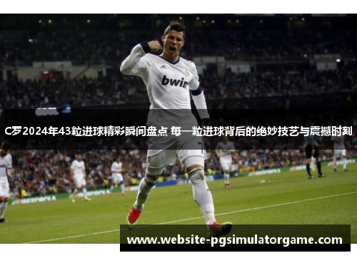 C罗2024年43粒进球精彩瞬间盘点 每一粒进球背后的绝妙技艺与震撼时刻
