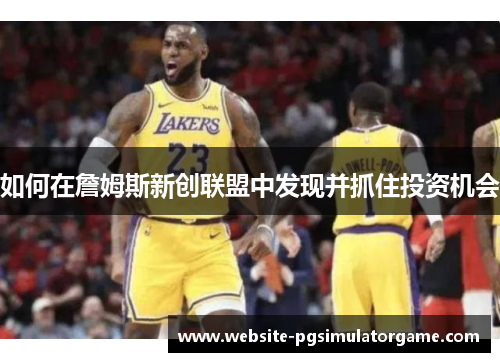如何在詹姆斯新创联盟中发现并抓住投资机会