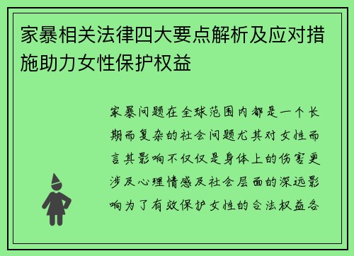 家暴相关法律四大要点解析及应对措施助力女性保护权益