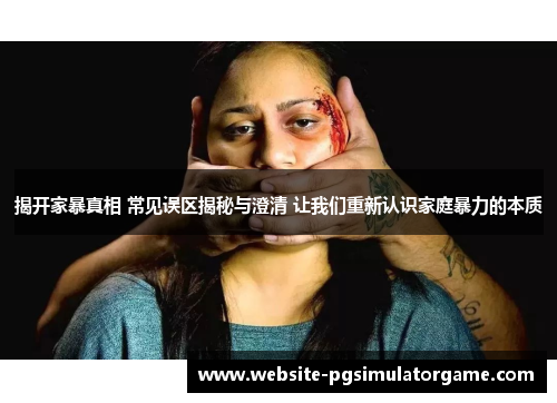 揭开家暴真相 常见误区揭秘与澄清 让我们重新认识家庭暴力的本质