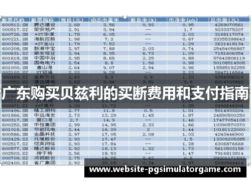 广东购买贝兹利的买断费用和支付指南