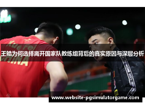 王皓为何选择离开国家队教练组背后的真实原因与深层分析