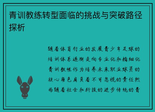 青训教练转型面临的挑战与突破路径探析