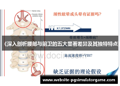 《深入剖析腰部与前卫的五大显著差异及其独特特点》