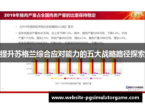 提升苏格兰综合应对能力的五大战略路径探索