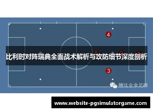 比利时对阵瑞典全面战术解析与攻防细节深度剖析