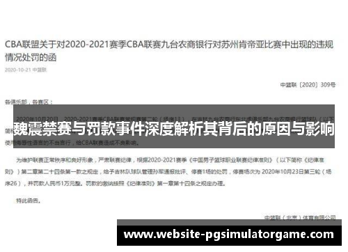 魏震禁赛与罚款事件深度解析其背后的原因与影响