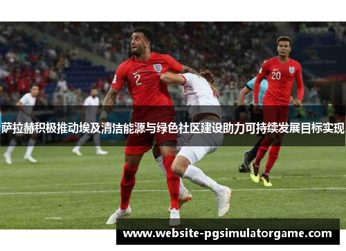萨拉赫积极推动埃及清洁能源与绿色社区建设助力可持续发展目标实现