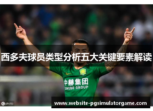 西多夫球员类型分析五大关键要素解读