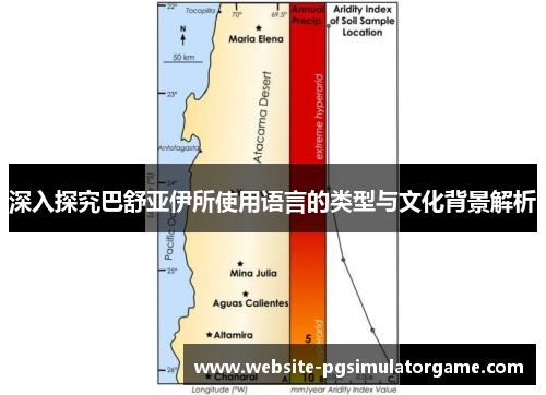 深入探究巴舒亚伊所使用语言的类型与文化背景解析