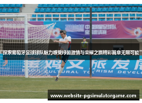 探索葡萄牙足球球队魅力感受绿茵激情与荣耀之旅精彩篇章无限可能