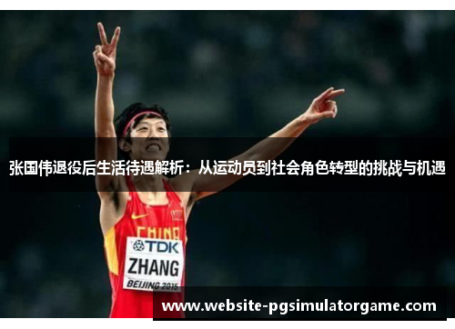 张国伟退役后生活待遇解析：从运动员到社会角色转型的挑战与机遇